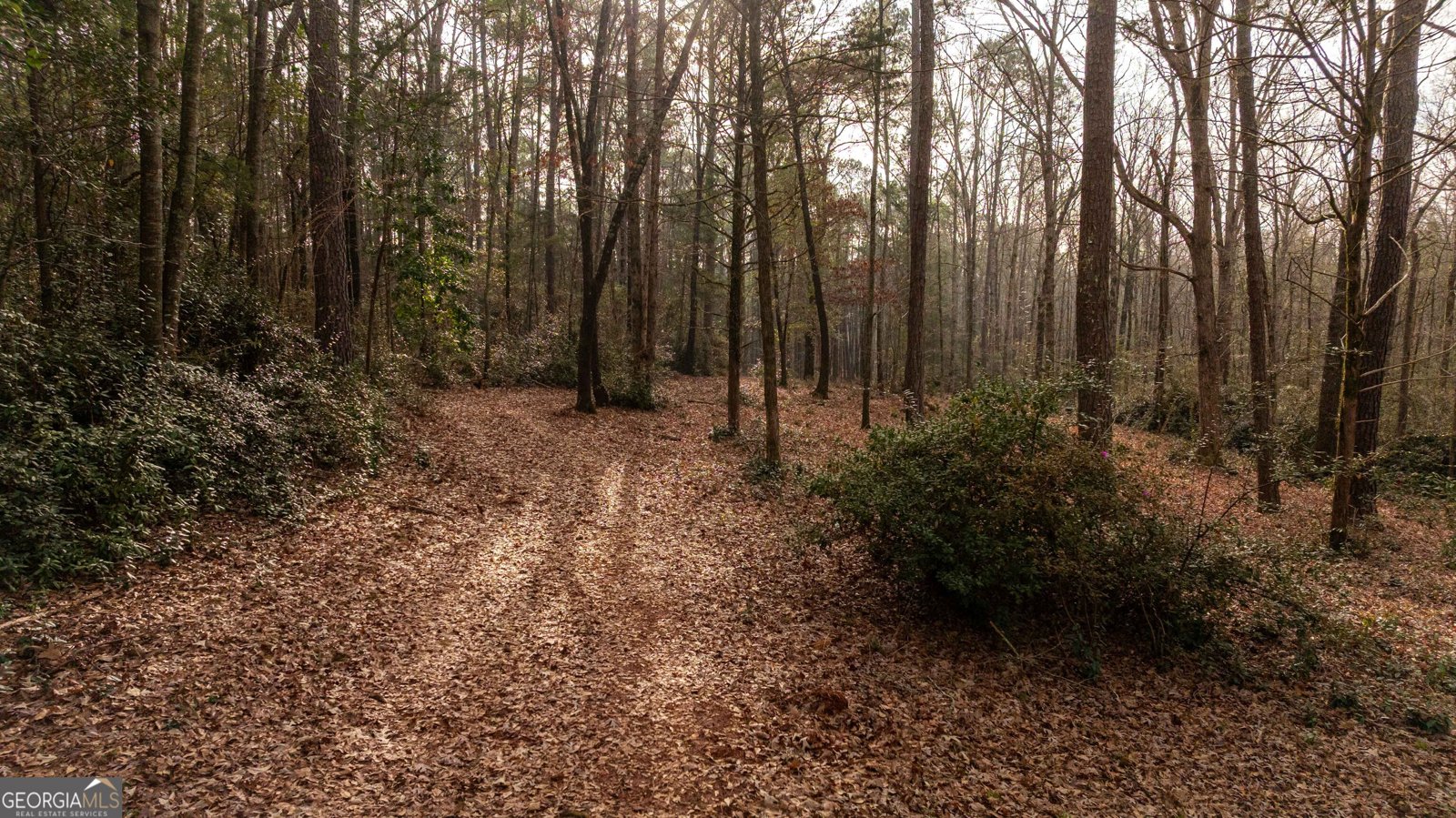 202 Daniel Road Thomaston - Photo 110