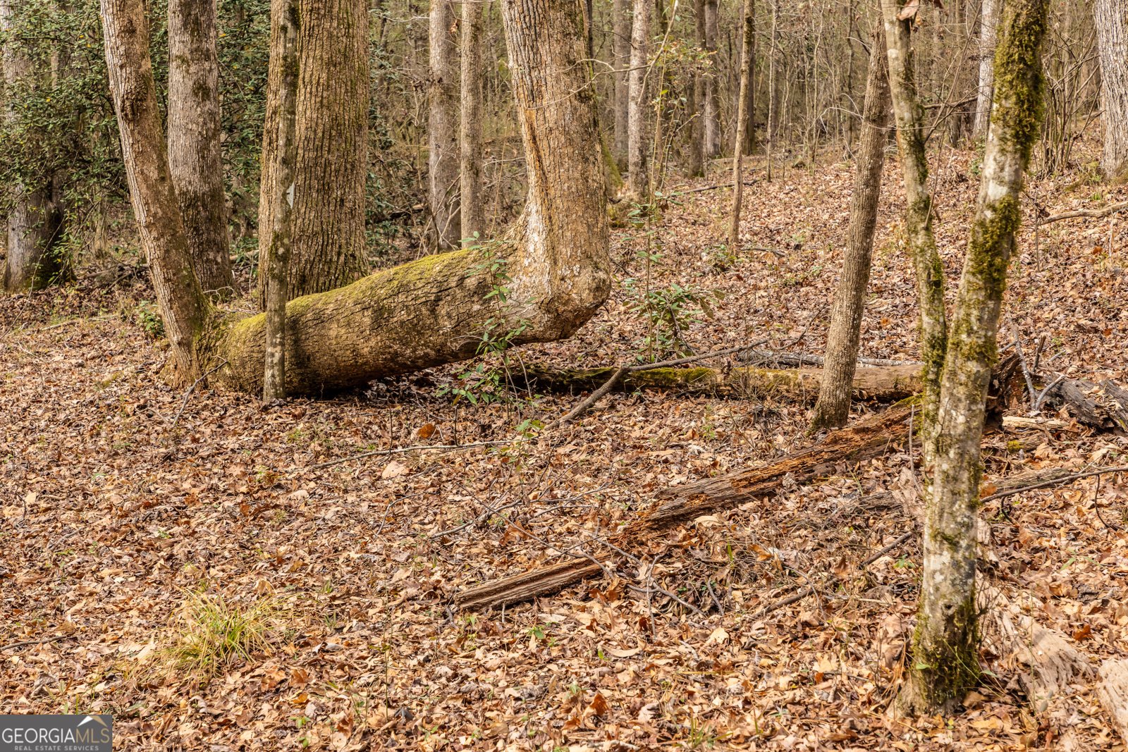 202 Daniel Road Thomaston - Photo 25