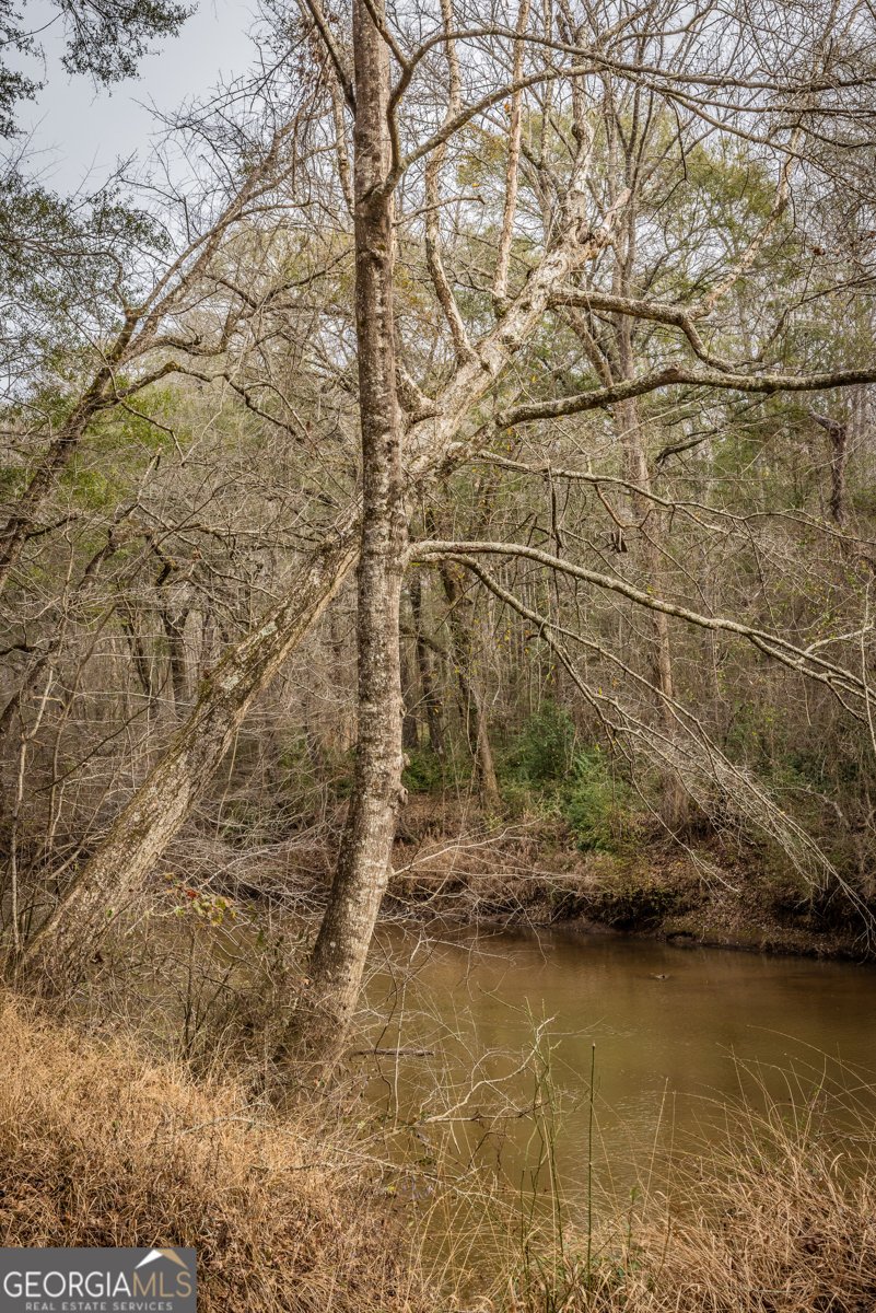 202 Daniel Road Thomaston - Photo 28