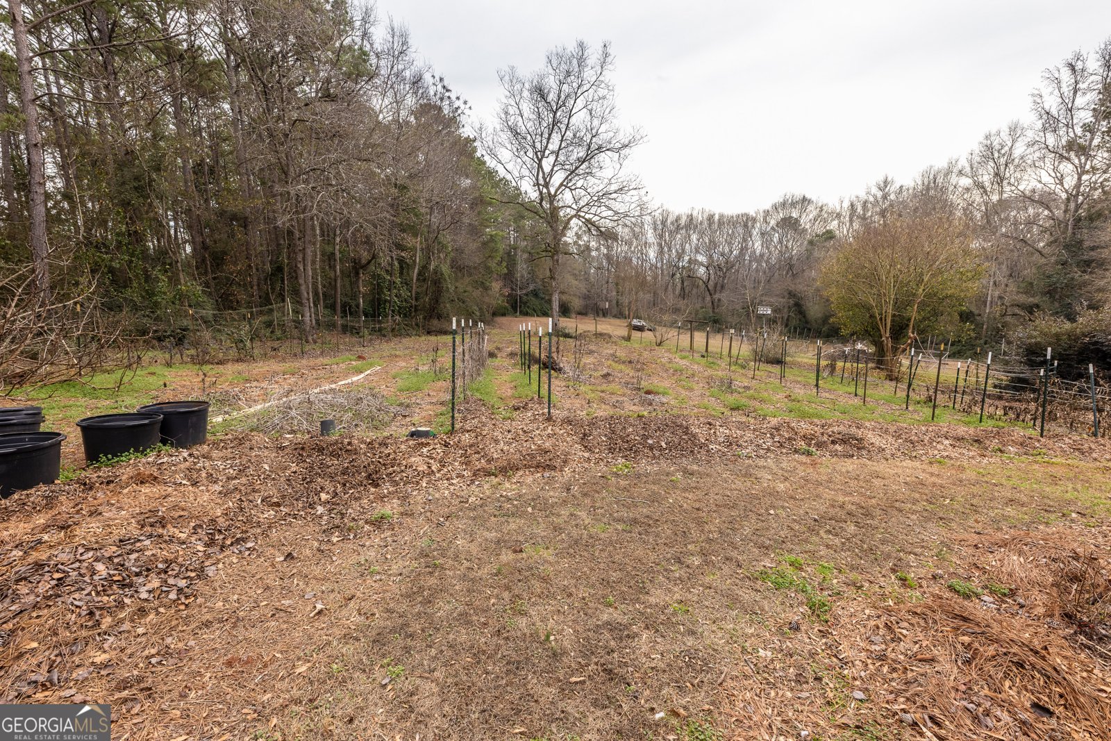 202 Daniel Road Thomaston - Photo 39