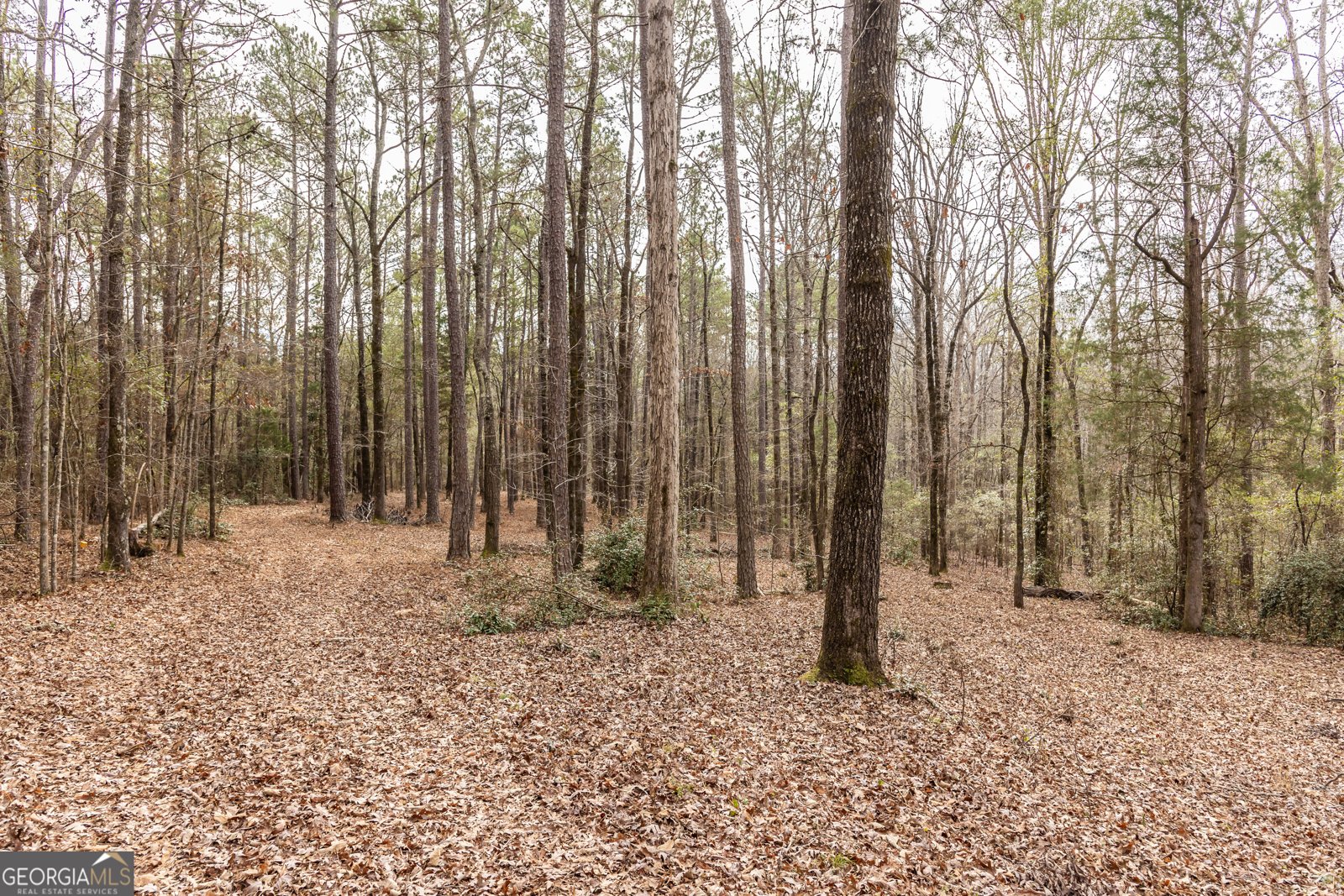 202 Daniel Road Thomaston - Photo 48