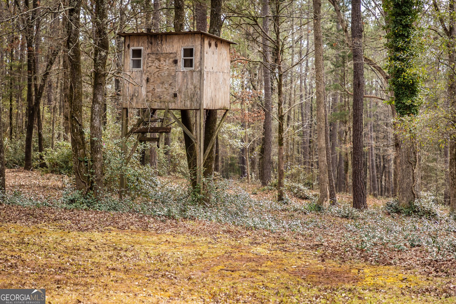 202 Daniel Road Thomaston - Photo 50