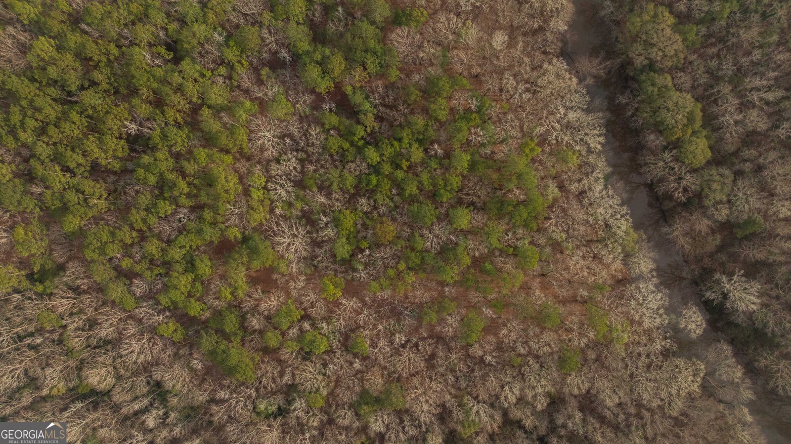 202 Daniel Road Thomaston - Photo 77