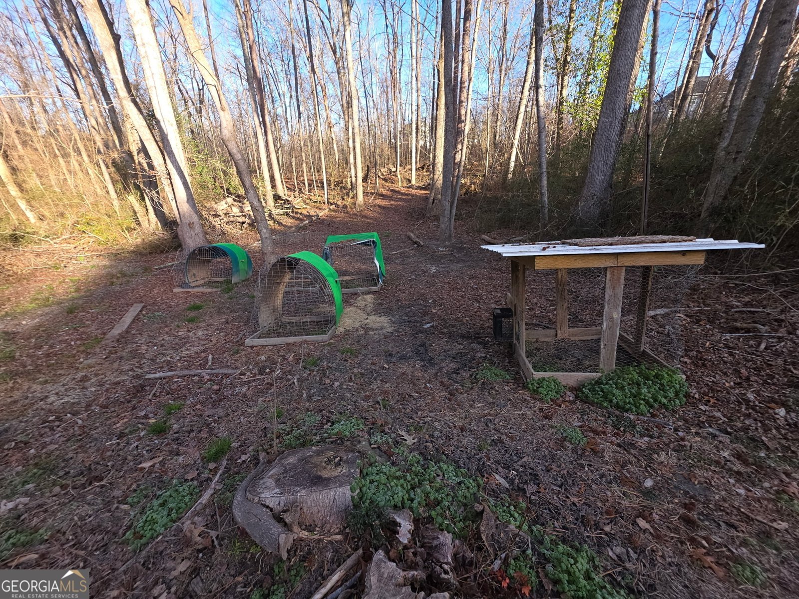 676 Hog Liver Road Carrollton - Photo 17