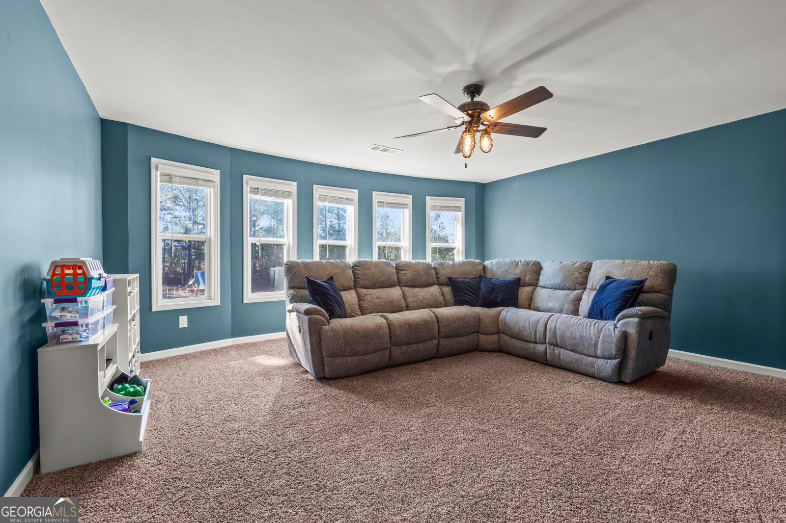 676 Genesee Point Newnan - Photo 36