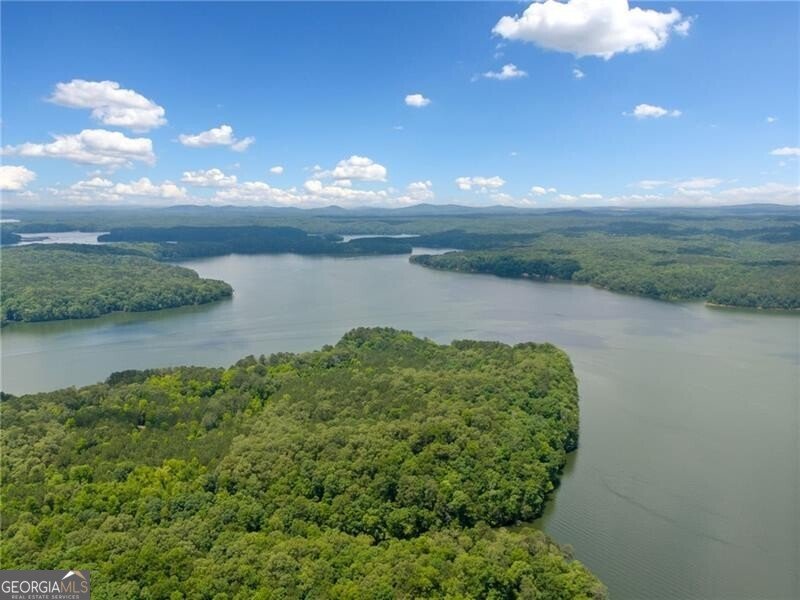 1000 Delta Drive Canton - Photo 30