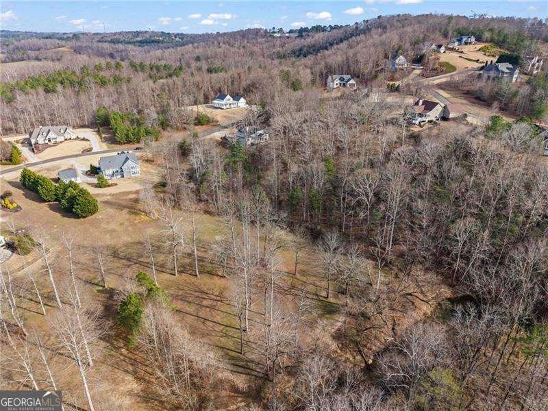 117 Sharp Mountain Creek Ball Ground - Photo 44