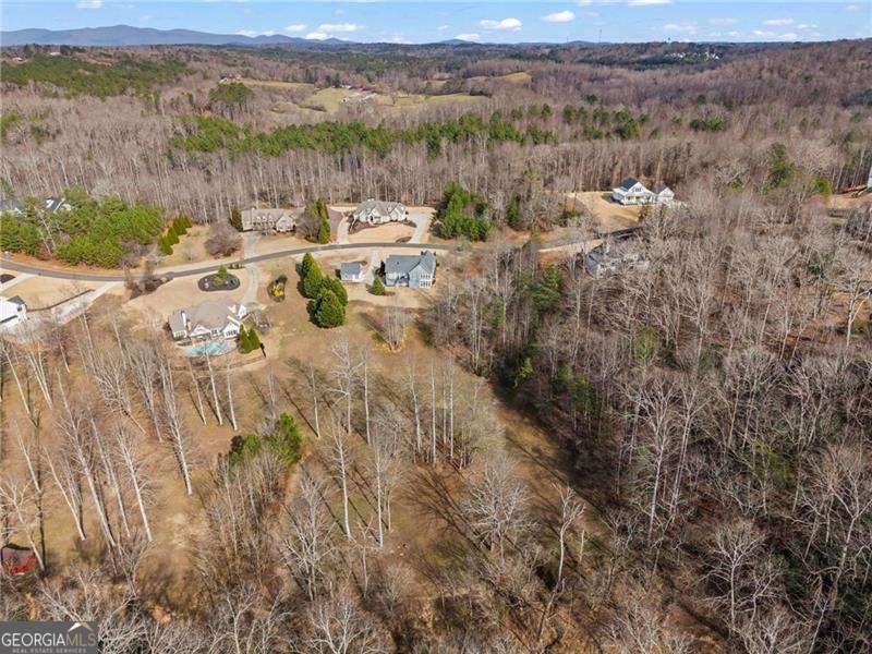 117 Sharp Mountain Creek Ball Ground - Photo 46