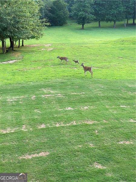 117 Sharp Mountain Creek Ball Ground - Photo 51