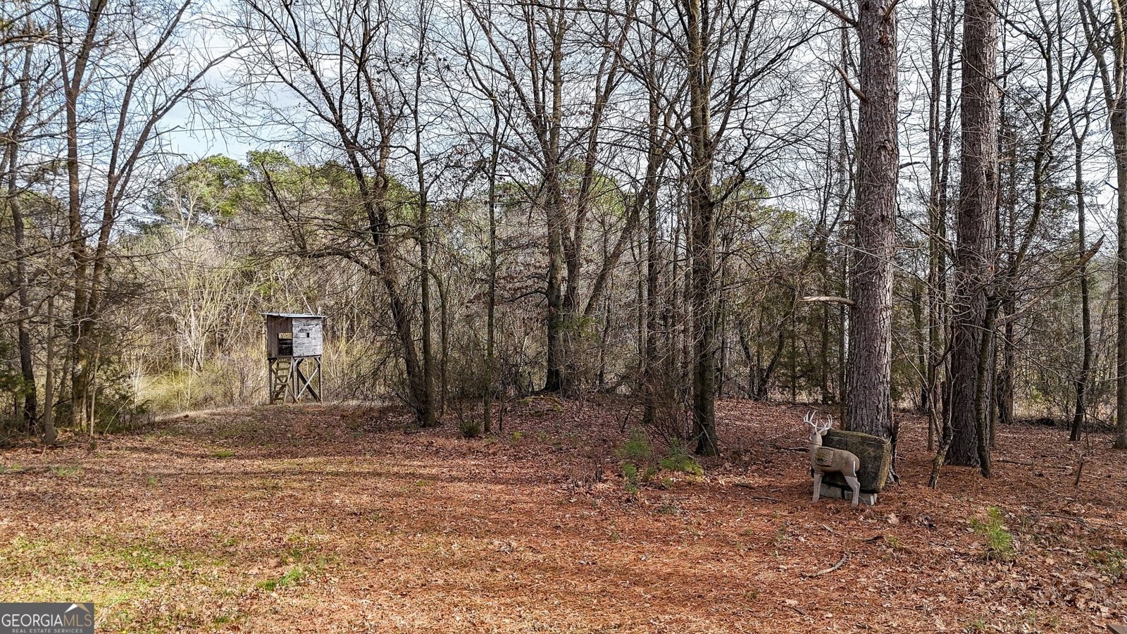 188 Richards Road White - Photo 22