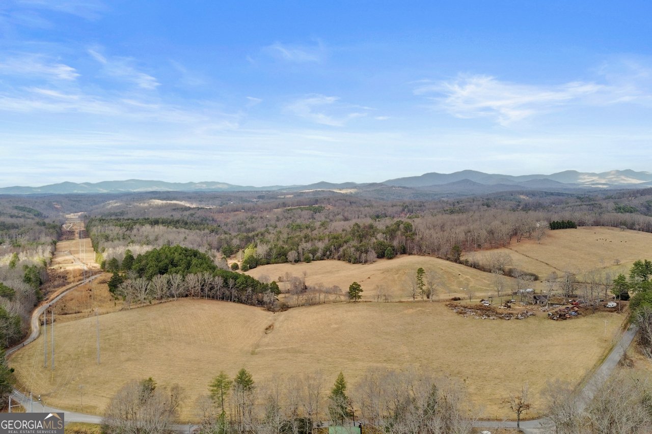 143 Kaely Drive Mineral Bluff - Photo 64