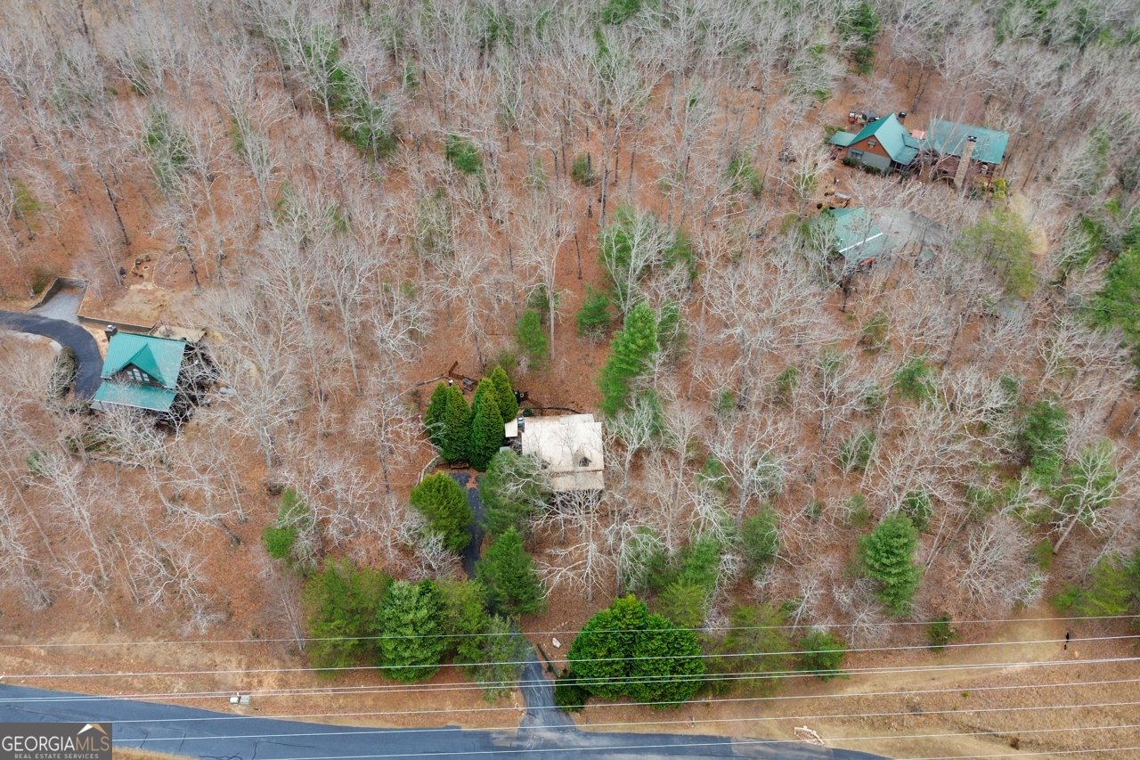 143 Kaely Drive Mineral Bluff - Photo 67