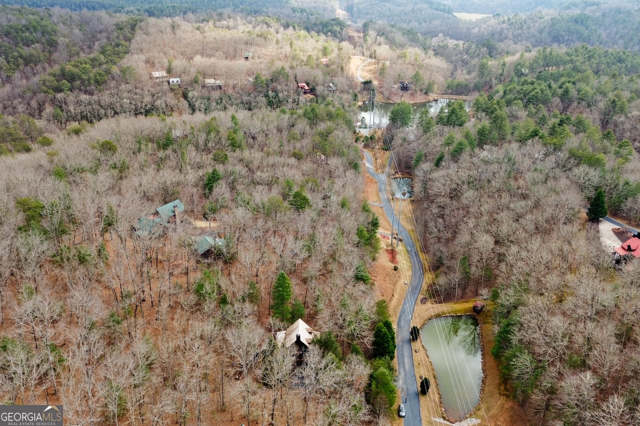 143 Kaely Drive Mineral Bluff - Photo 69