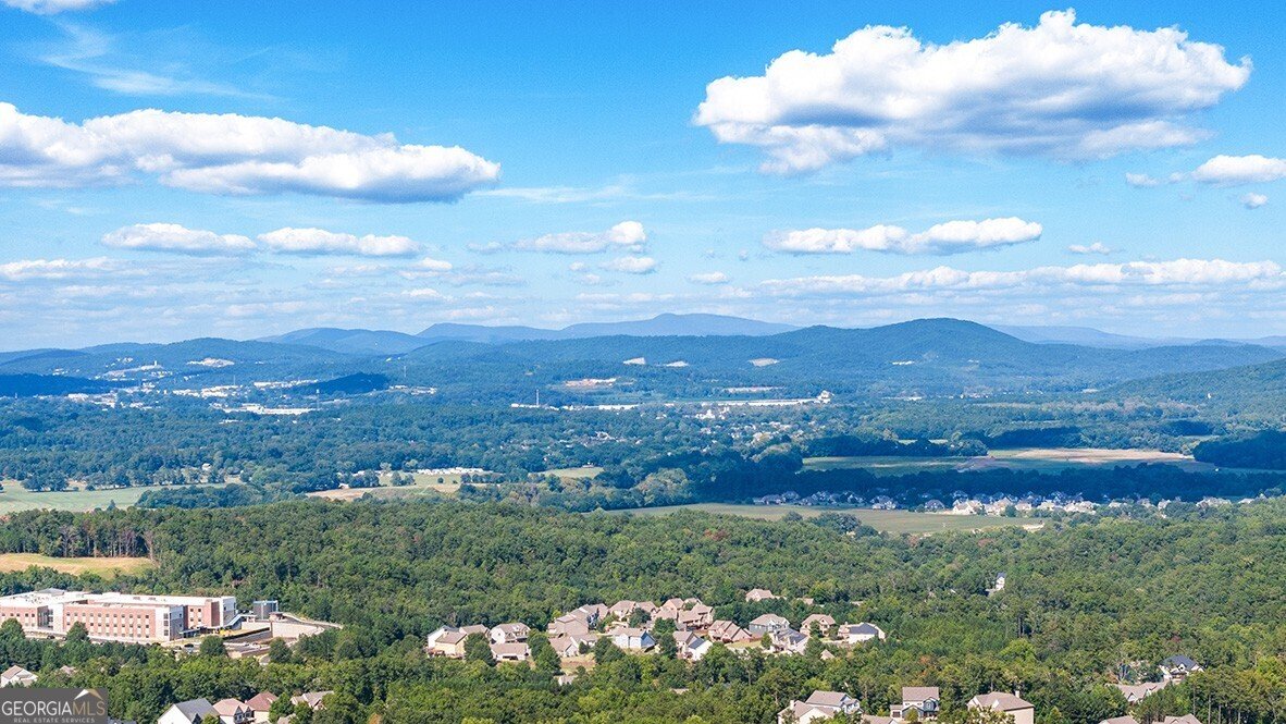 348 Belmont Drive Cartersville - Photo 38