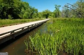 3207 Thompson Mill Road Buford - Photo 35