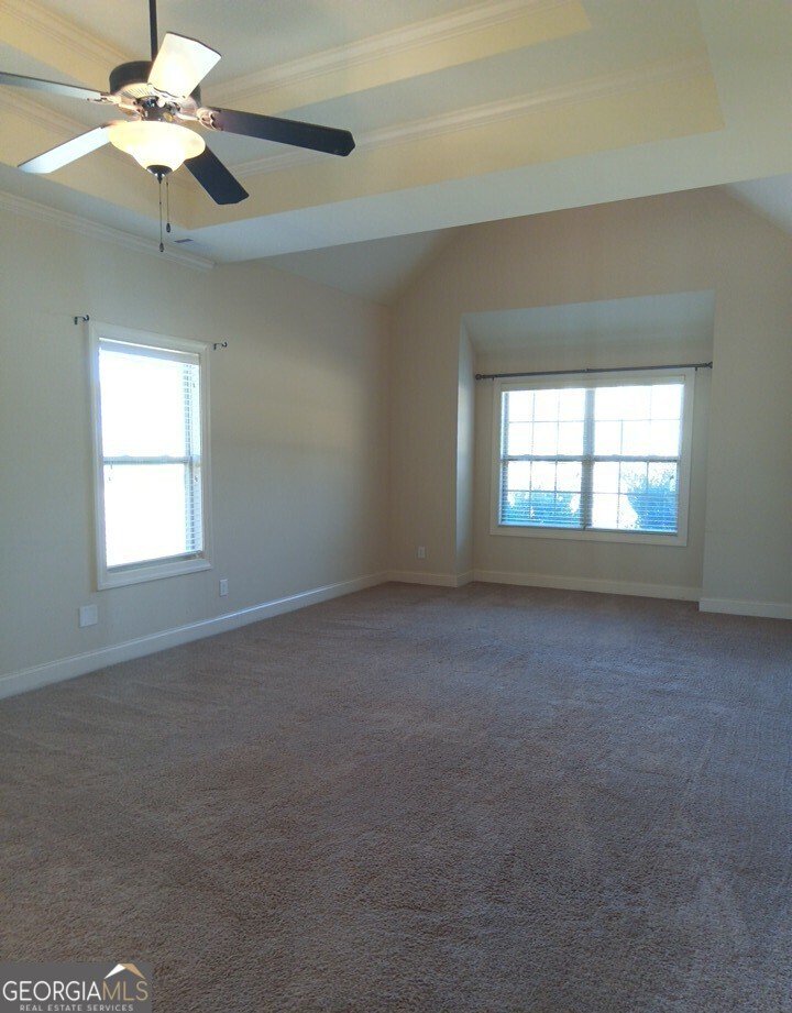 307 Cinnamon Bark Pass Locust Grove - Photo 15