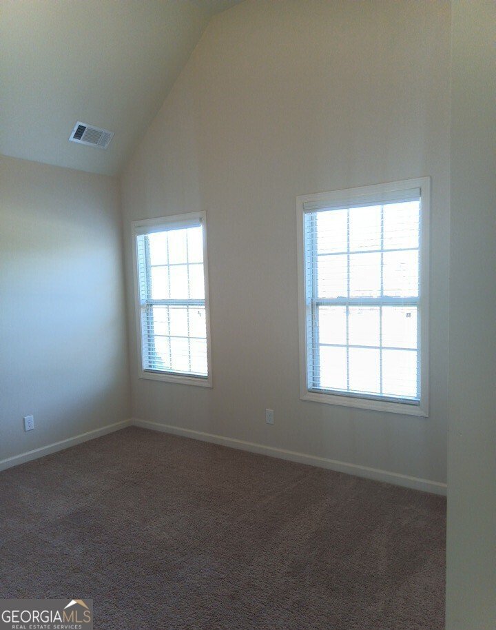 307 Cinnamon Bark Pass Locust Grove - Photo 22