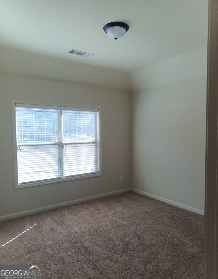 307 Cinnamon Bark Pass Locust Grove - Photo 23