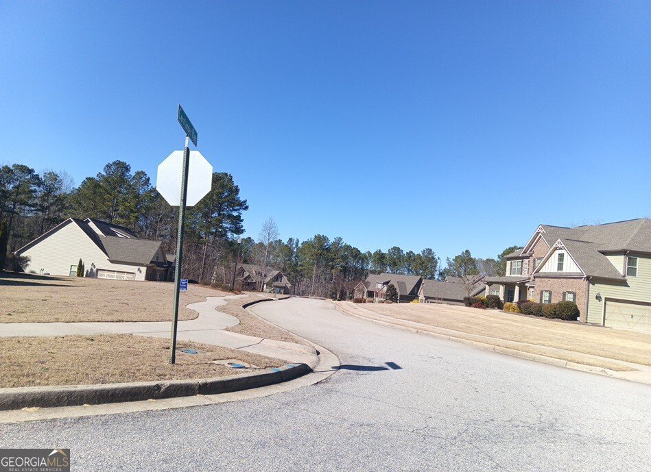 307 Cinnamon Bark Pass Locust Grove - Photo 29