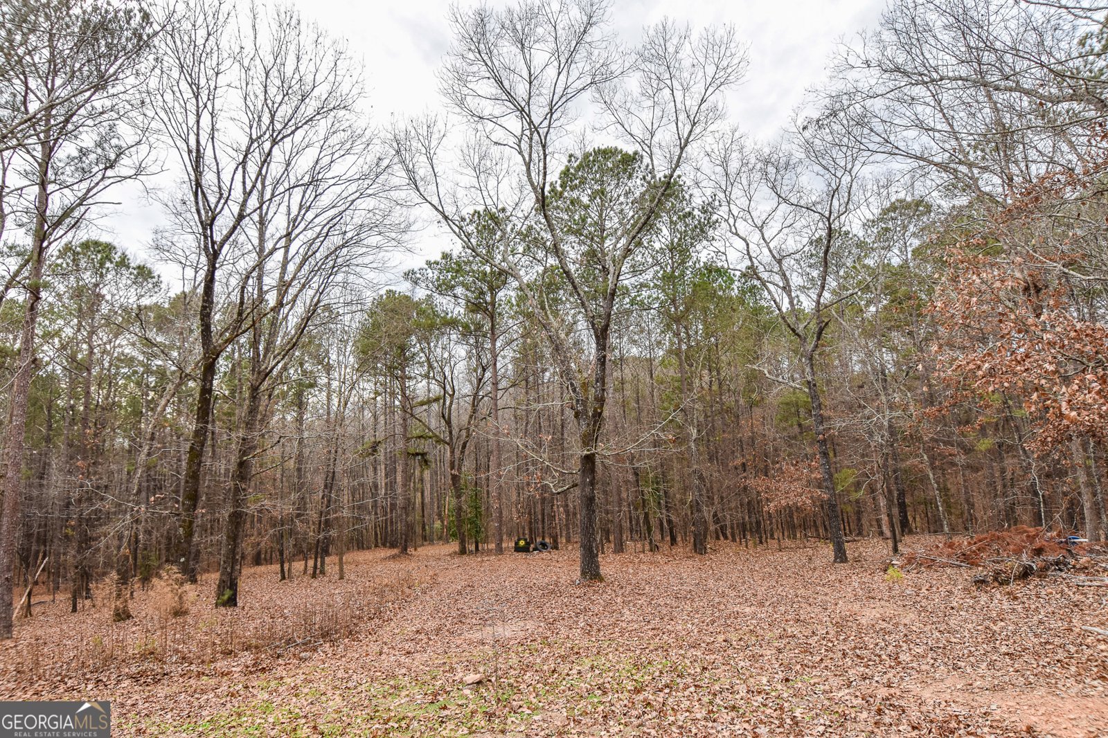 18 Ridgecrest Drive Thomaston - Photo 18