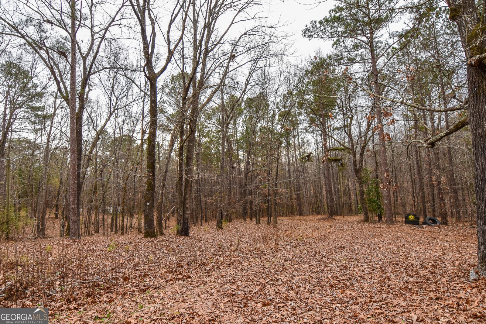 18 Ridgecrest Drive Thomaston - Photo 21