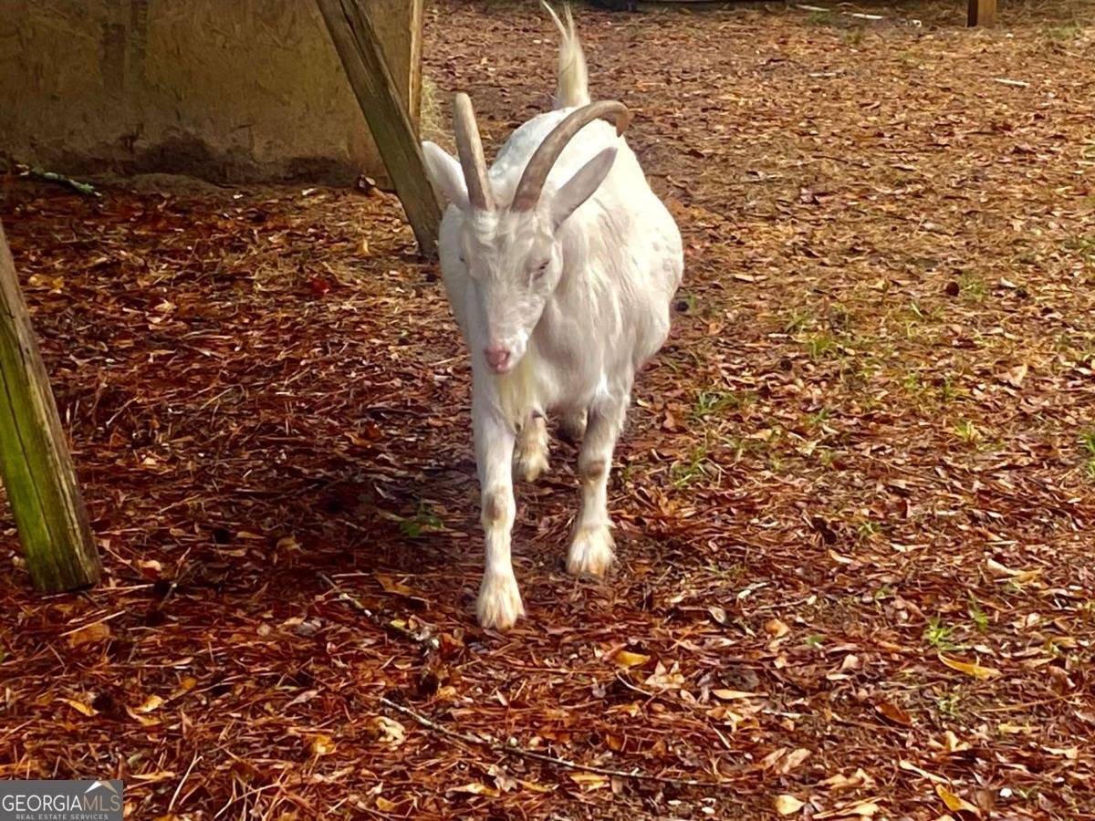 290 Poplar Creek Road Stephens - Photo 18