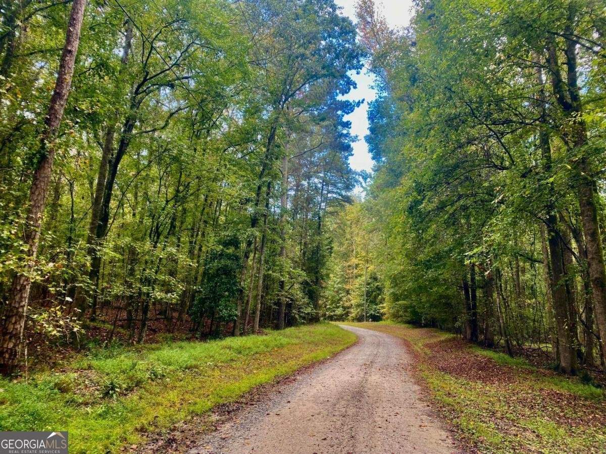 290 Poplar Creek Road Stephens - Photo 7