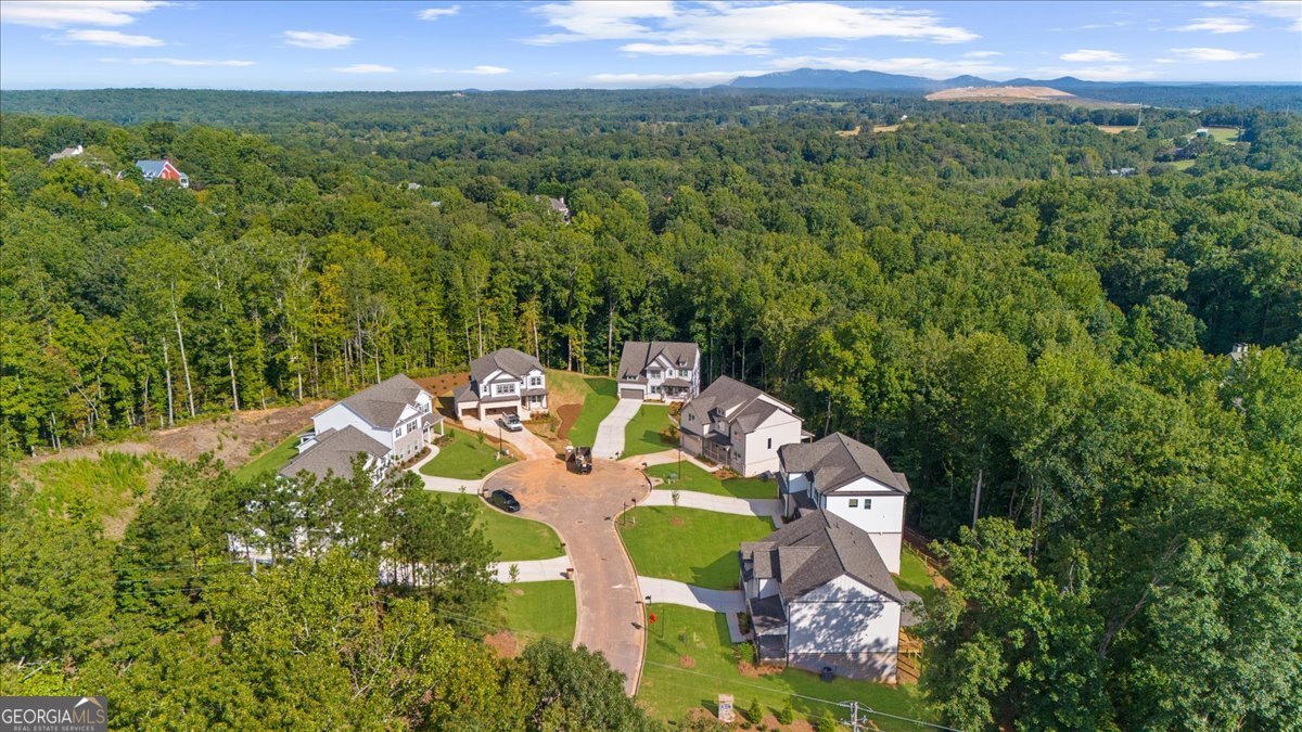 8610 Standing Stone Ball Ground - Photo 56