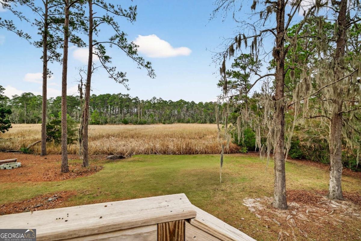 314 Mill Run Road Richmond Hill - Photo 48