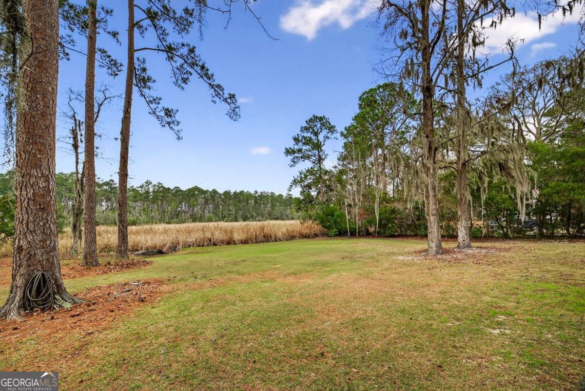 314 Mill Run Road Richmond Hill - Photo 54