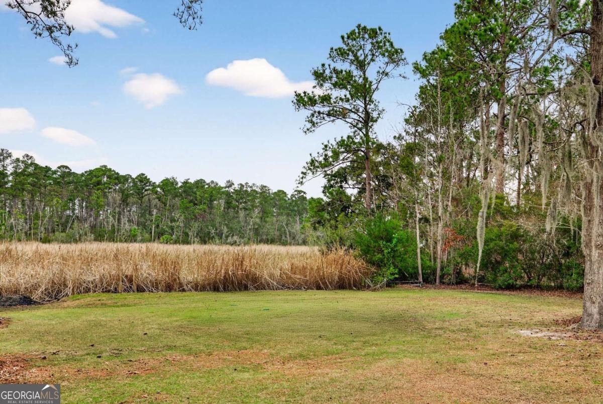 314 Mill Run Road Richmond Hill - Photo 55