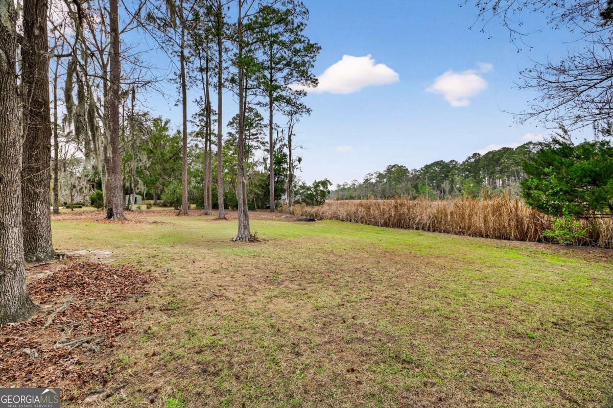 314 Mill Run Road Richmond Hill - Photo 60