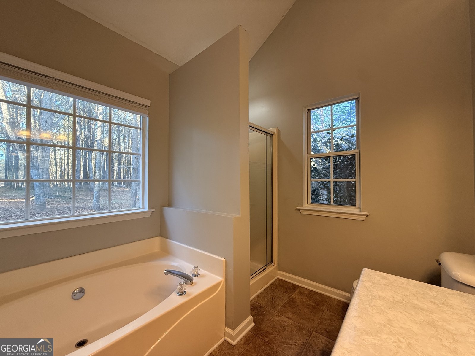 20 Golden Court Sharpsburg - Photo 12