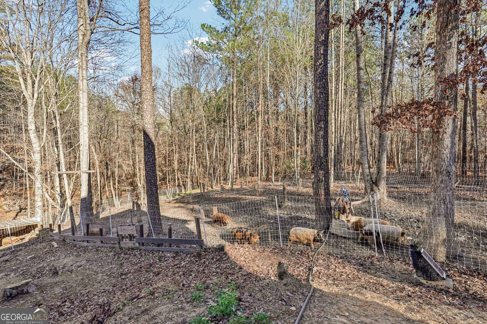 744 Narroway Trail Dallas - Photo 56