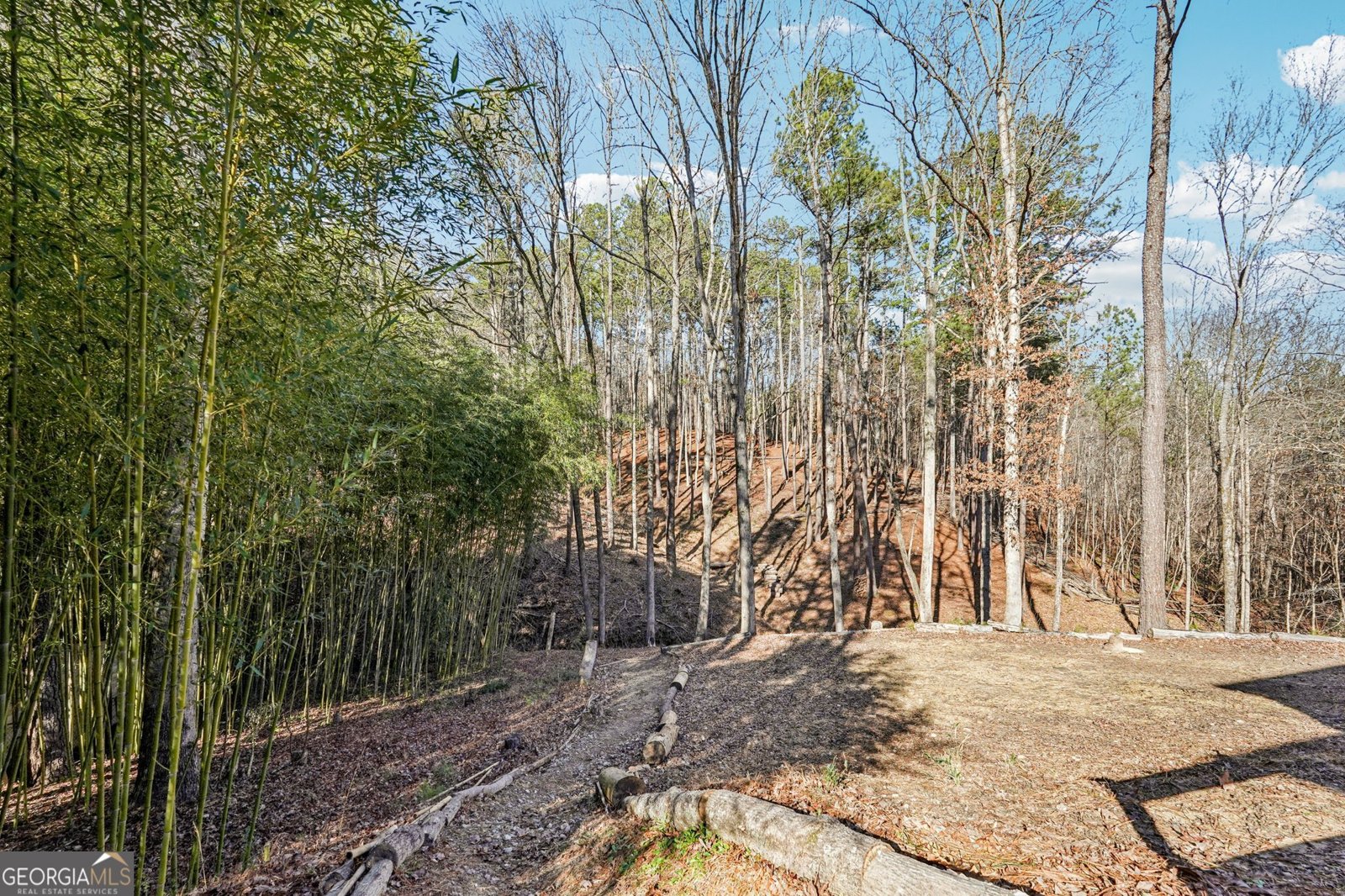 744 Narroway Trail Dallas - Photo 59