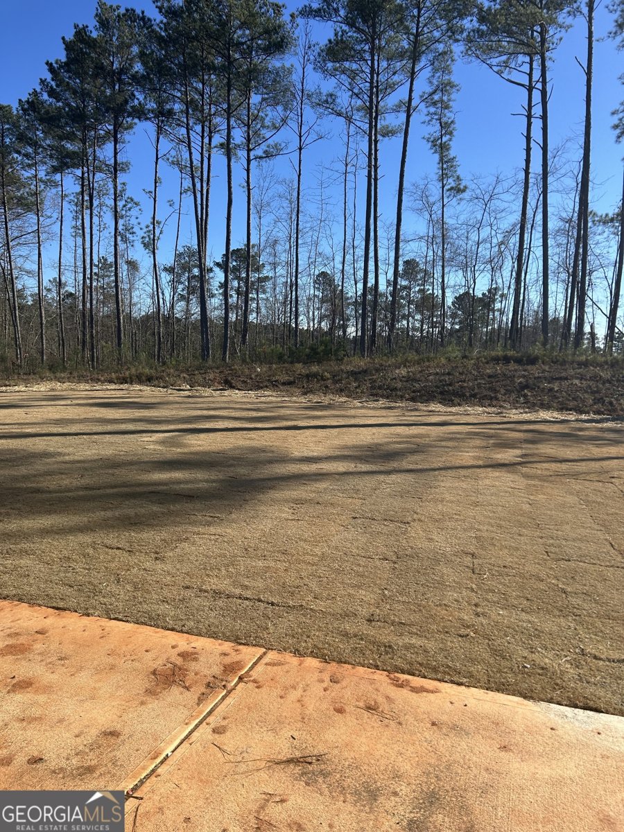 1175 Barrington Place Way Macon - Photo 12