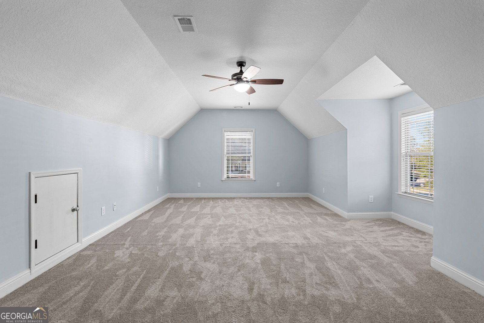 104 Hidden Springs Drive Lagrange - Photo 43