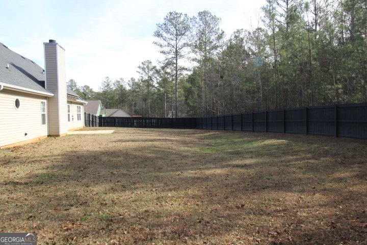 206 Cole Forest Boulevard Barnesville - Photo 9