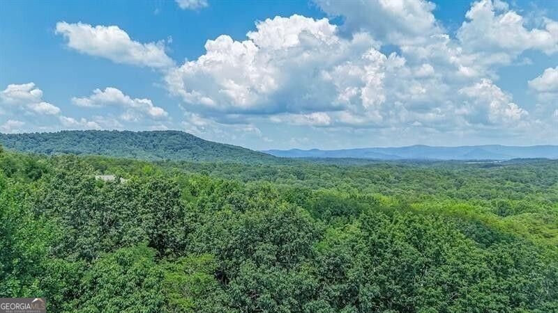 220 Terrace Way Jasper - Photo 39