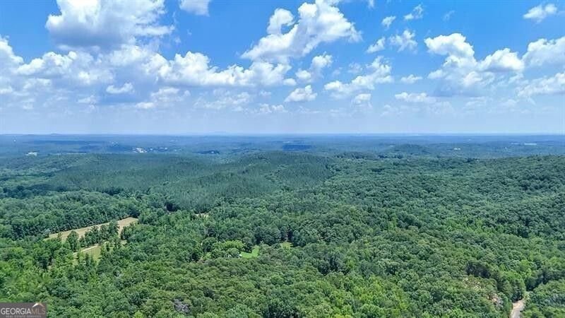 220 Terrace Way Jasper - Photo 42