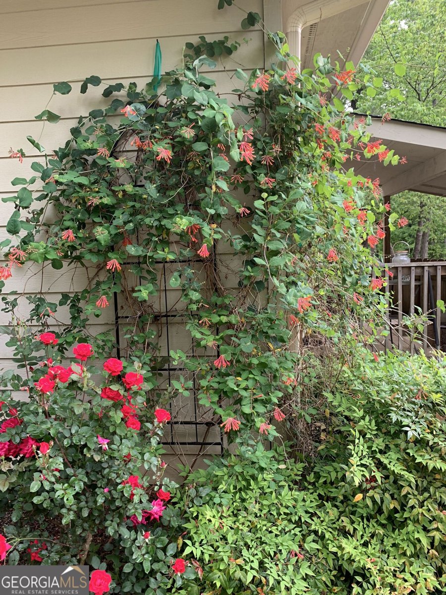 272 Chesterfield Road Bogart - Photo 30