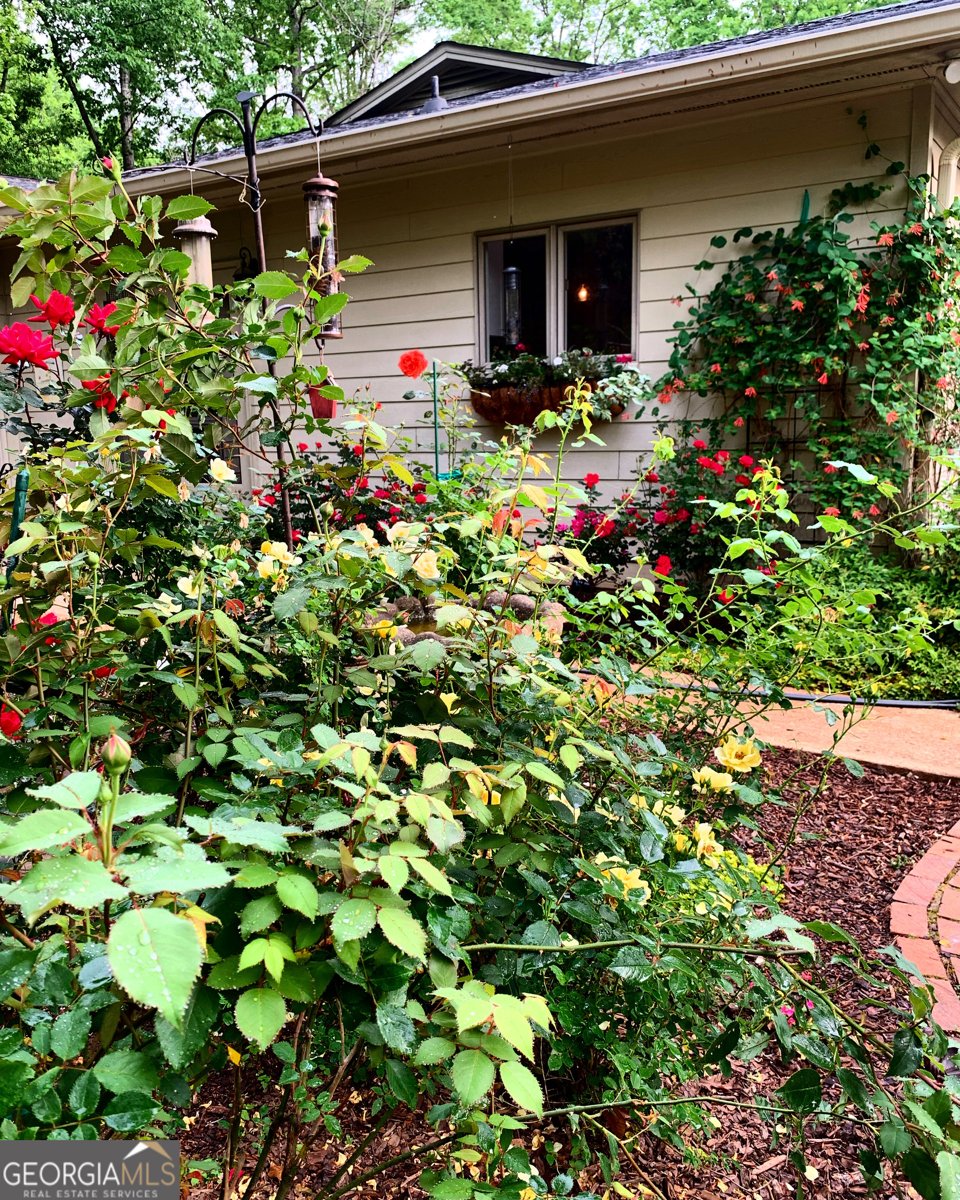 272 Chesterfield Road Bogart - Photo 32