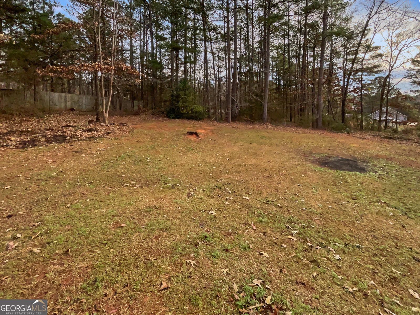 20 Mountainview Court Covington - Photo 18