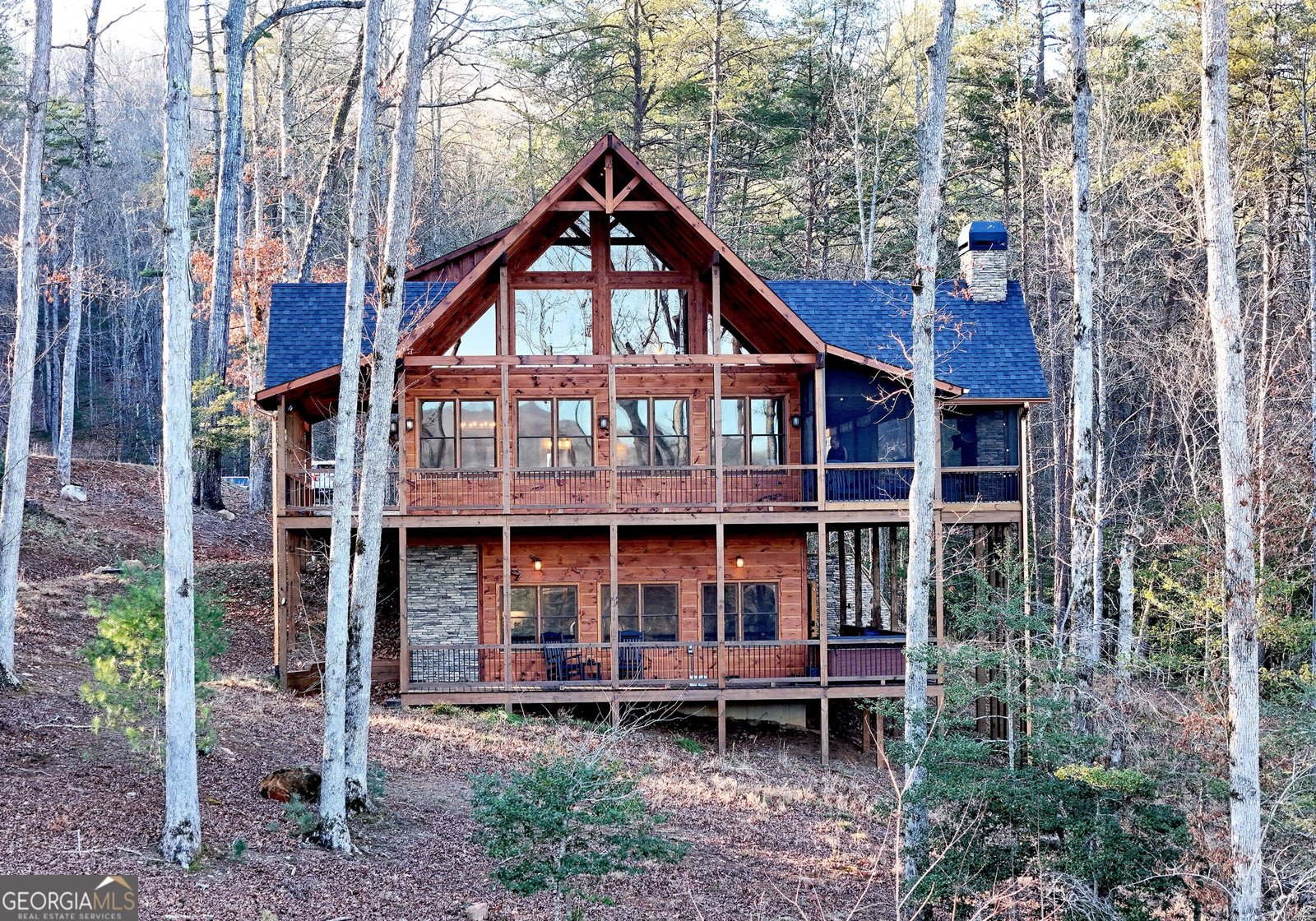 306 Native Trail Blue Ridge - Photo 1