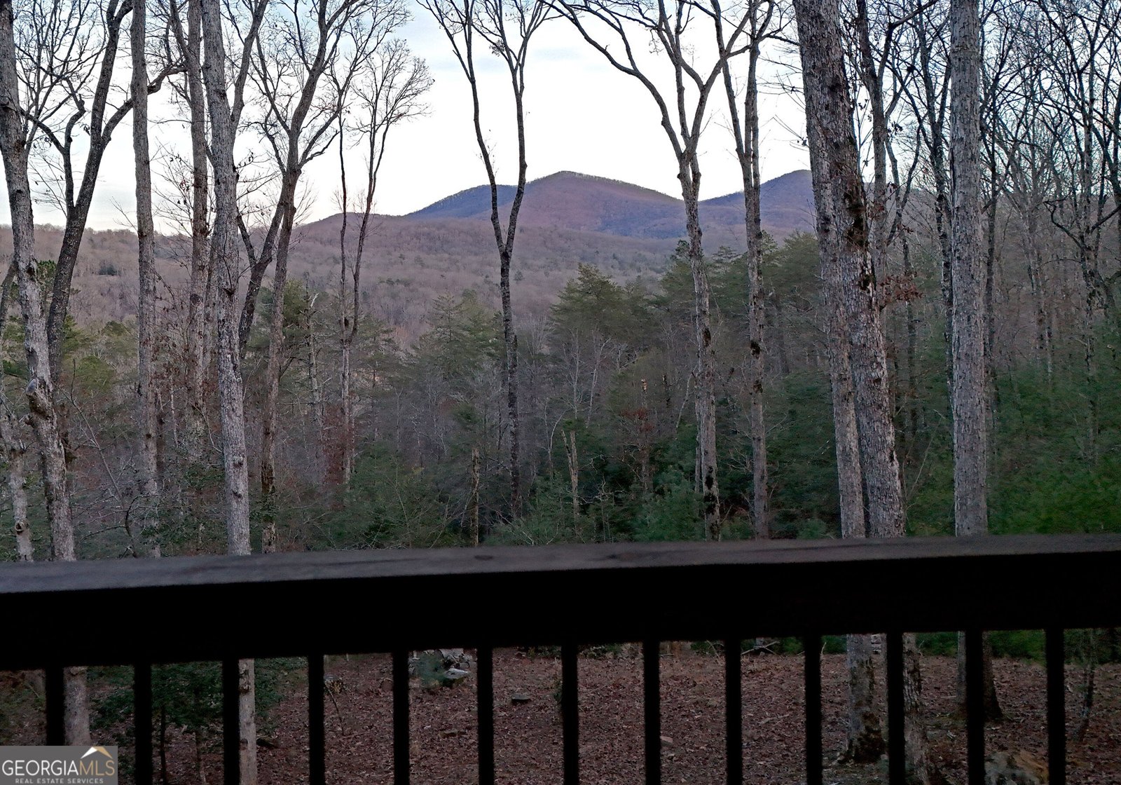306 Native Trail Blue Ridge - Photo 16