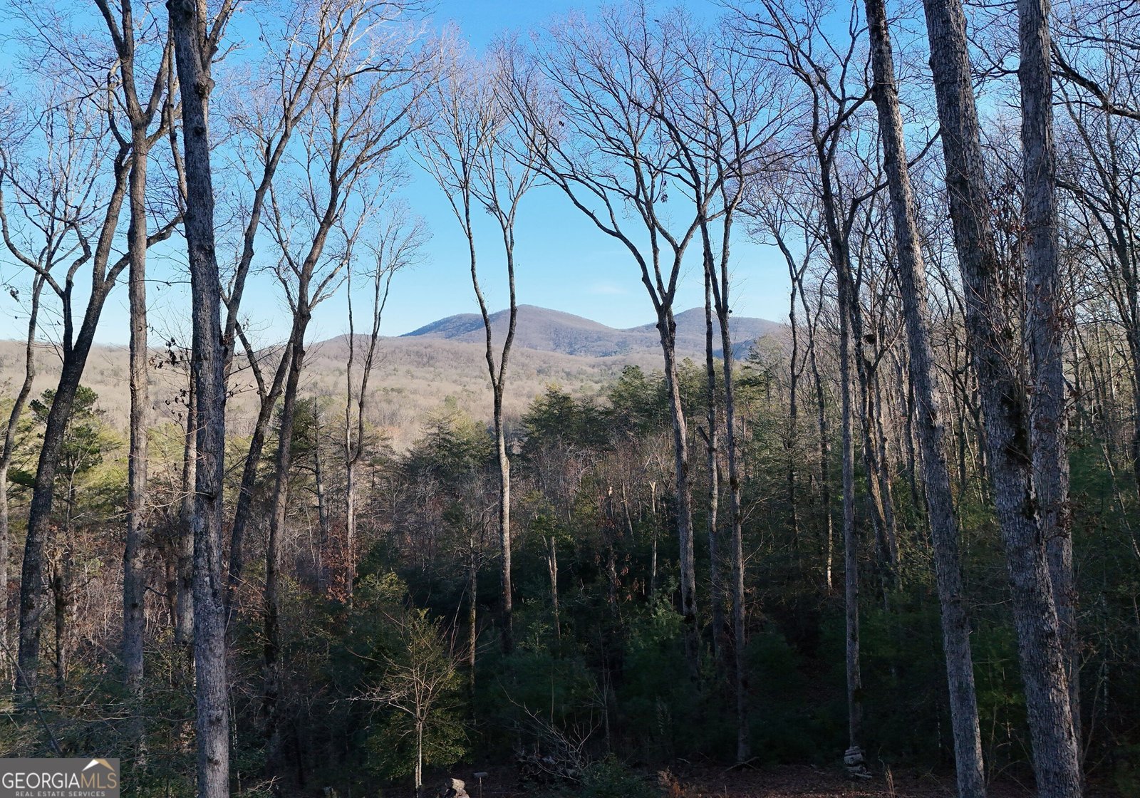 306 Native Trail Blue Ridge - Photo 17