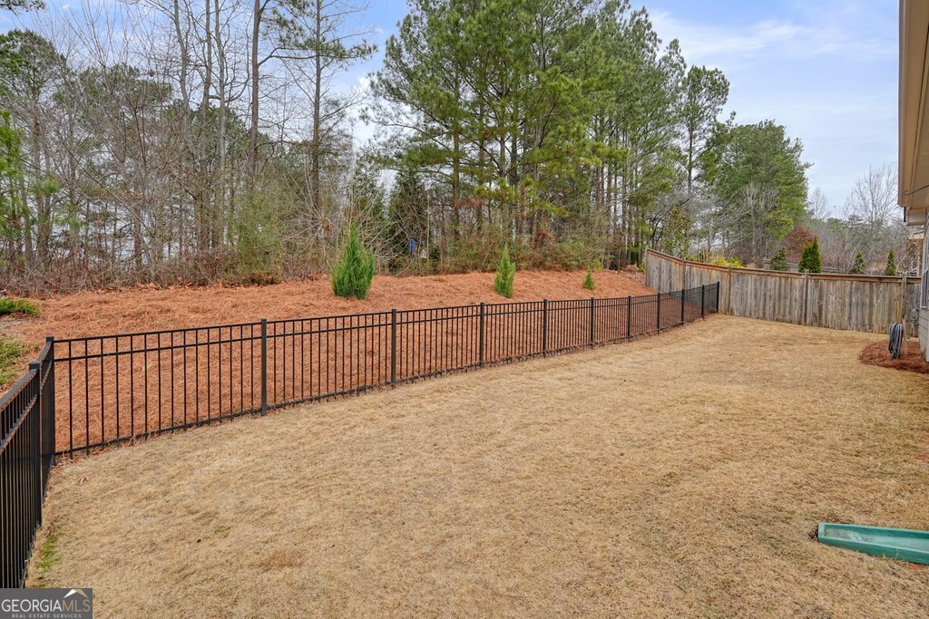 214 Hopegrove Lane Canton - Photo 44