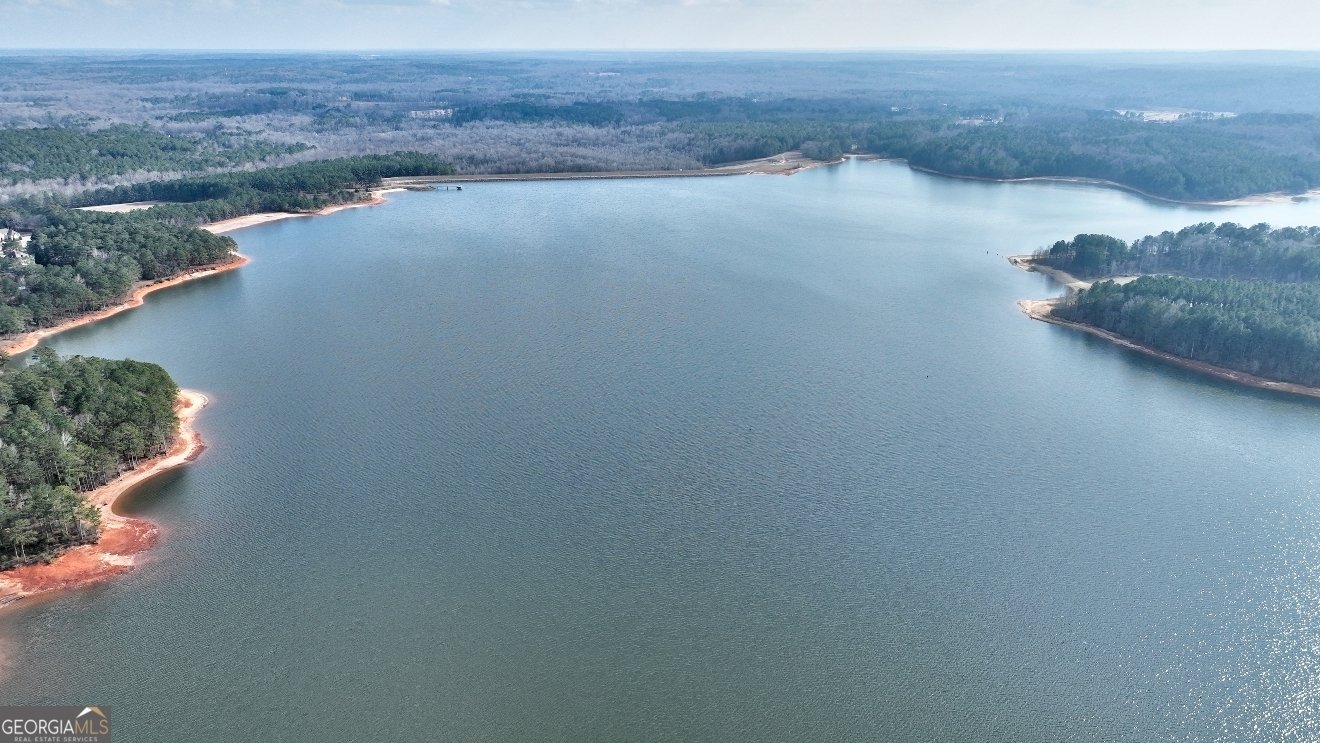 1522 Windward Drive Locust Grove - Photo 71