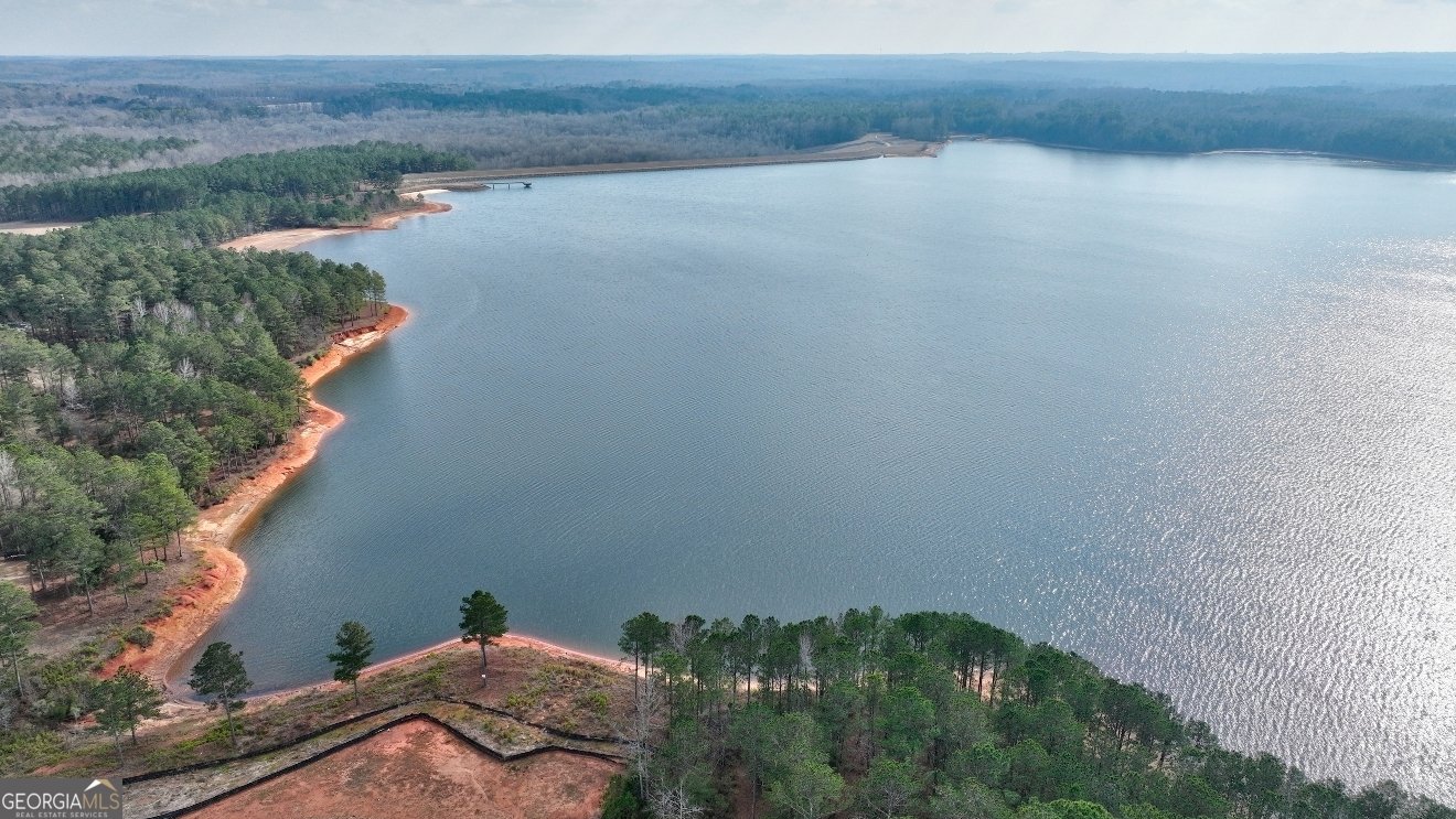 1522 Windward Drive Locust Grove - Photo 72