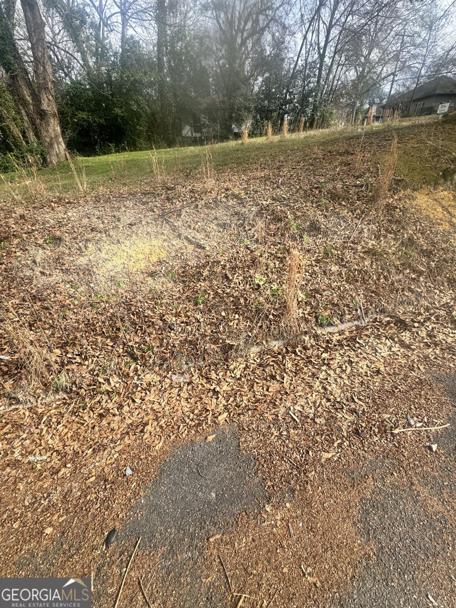 537 Rutherford Avenue Macon - Photo 11